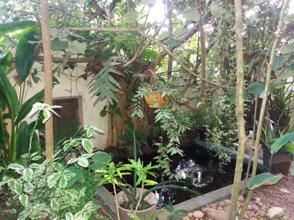 米瑞莎 孔雀之翼旅馆酒店 外观 照片